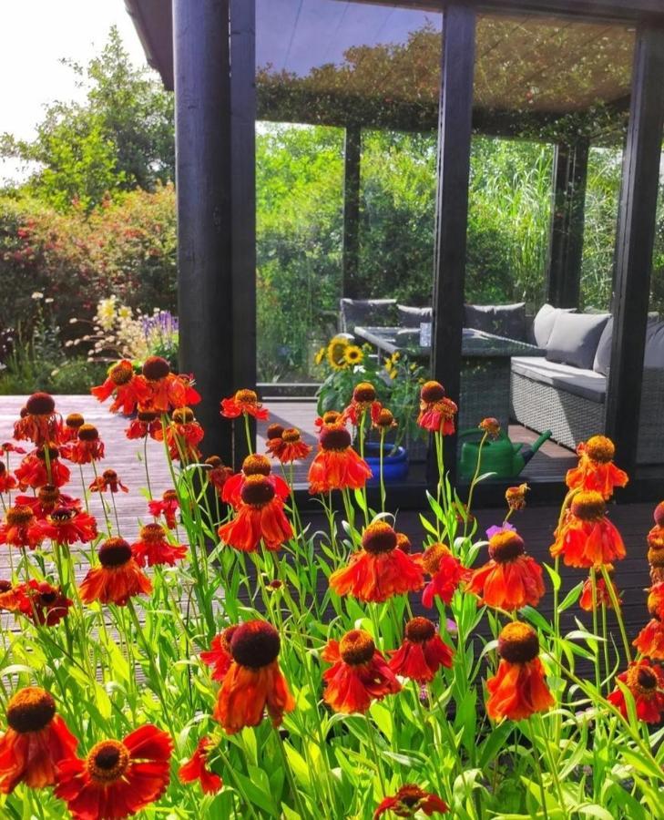 ליסדונורנה Apartments At Ballinsheen House & Gardens מראה חיצוני תמונה